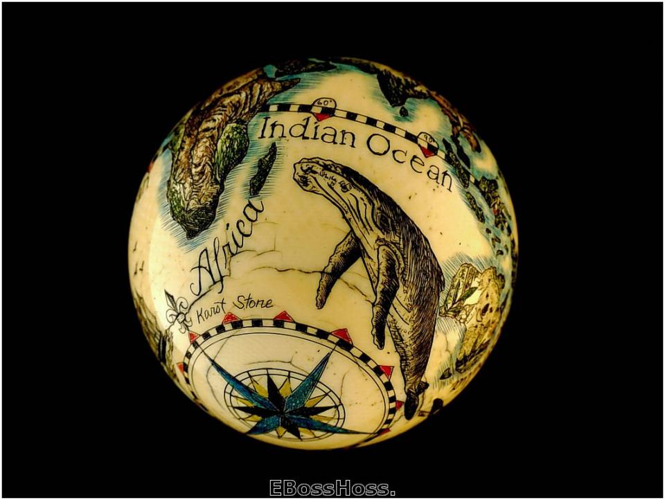 Linda Karst Stone's Endanged Species of the World