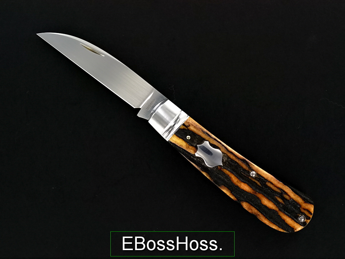 Mike Zscherny Swayback Jack