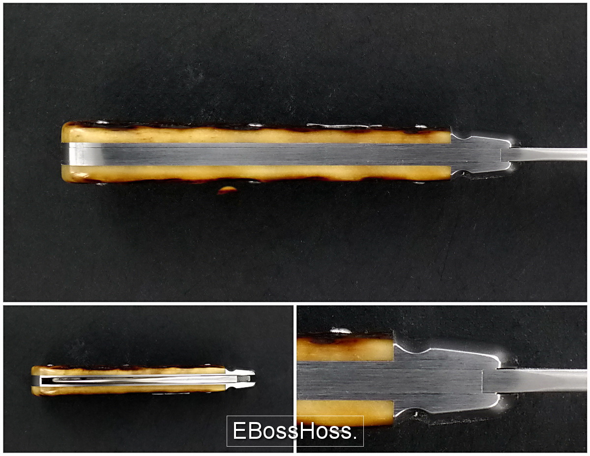 Tony Bose Swayback Jack (Numbered)