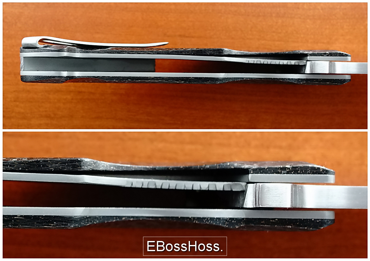 Terry Renner Big Honkin' Flipper