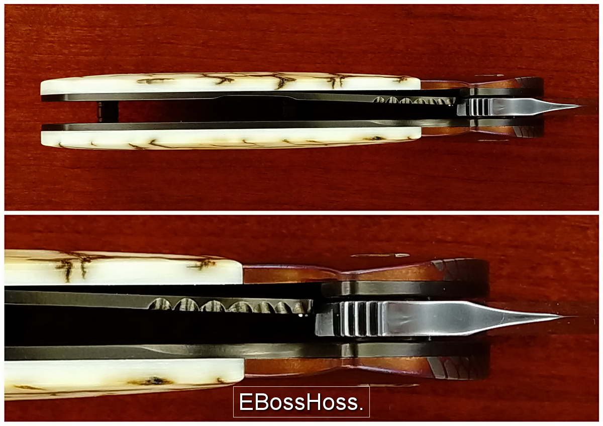 Peter Carey Deluxe Nitro Mini Flipper