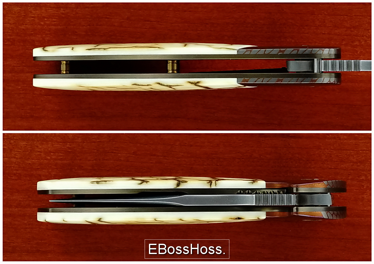 Peter Carey Deluxe Nitro Mini Flipper