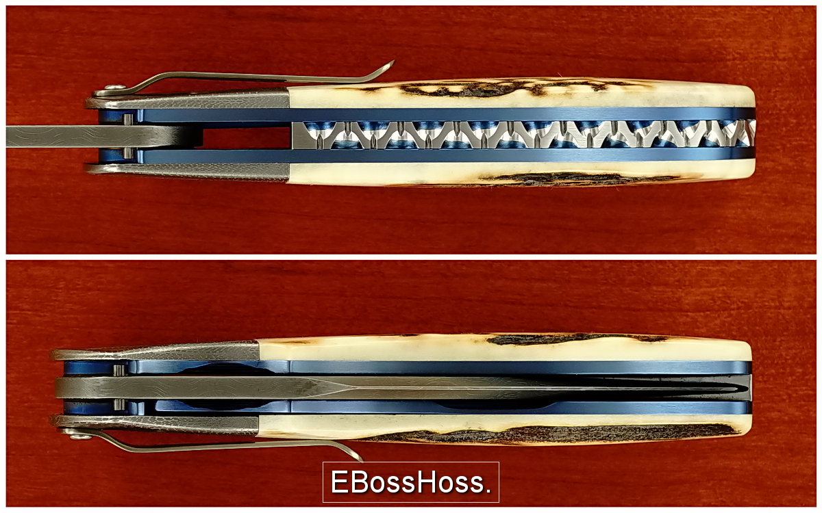 Phil Boguszewski Stag Cobra Sabertip