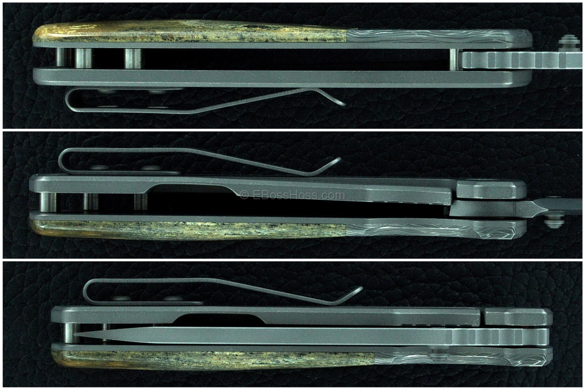 Brian Fellhoelter Mastodon Mosaic Deluxe FLG