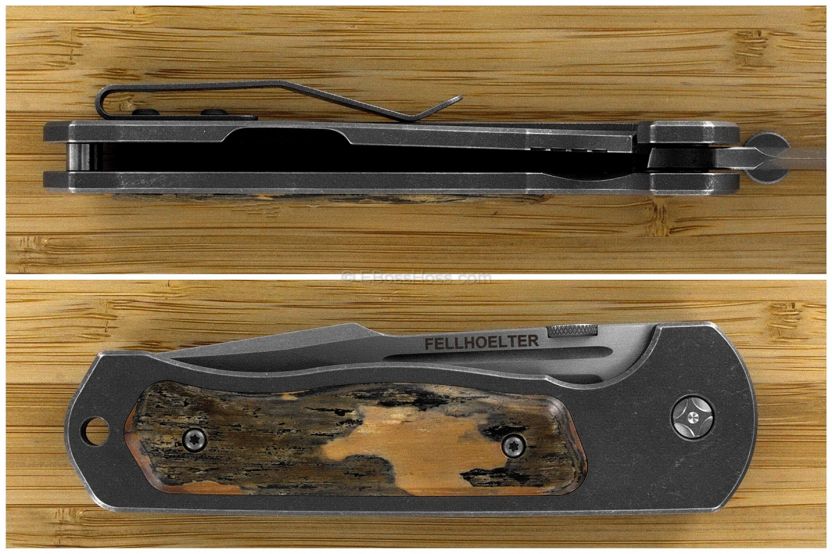 Brian Fellhoelter Mammoth FTR V3