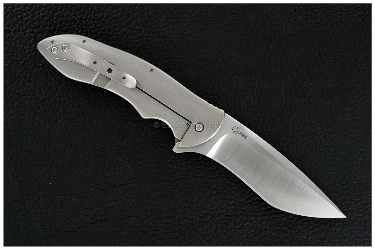 David Mosier Custom Spyro Framelock Flipper