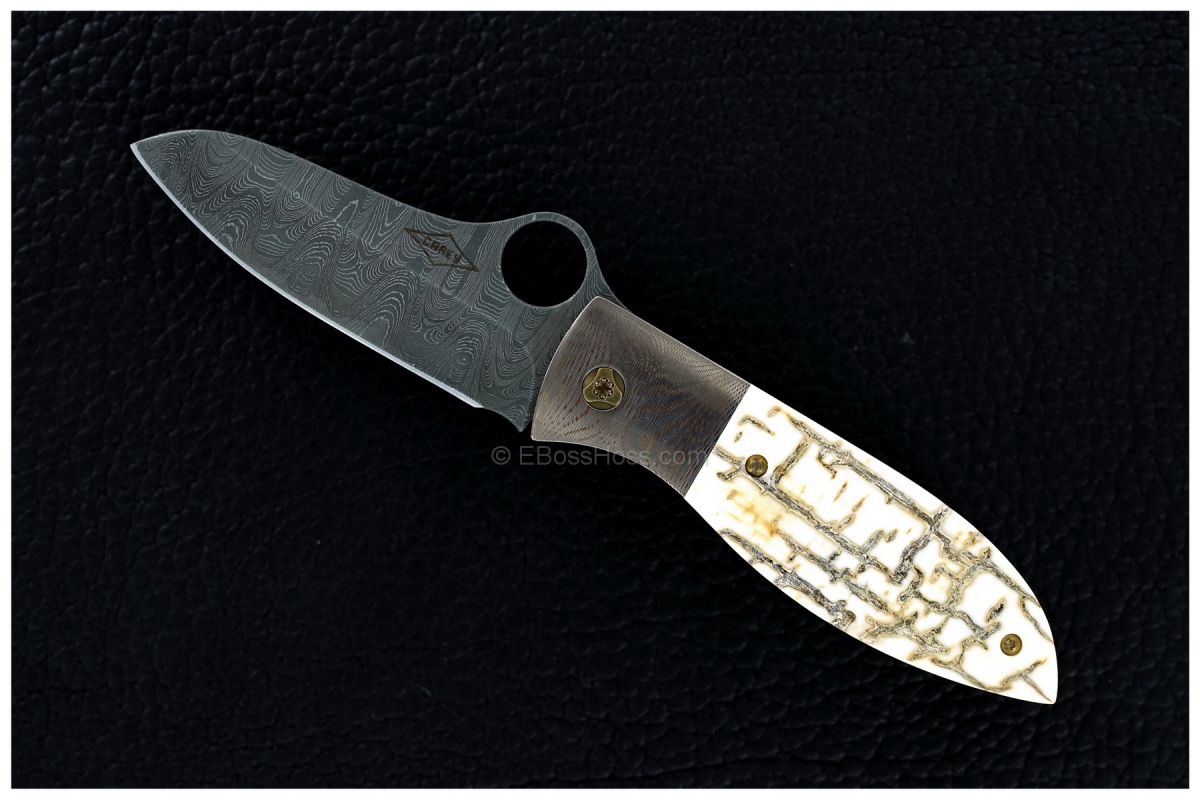 Peter Carey Custom Deluxe Firefly Prototype