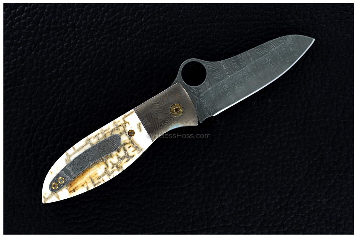 Peter Carey Custom Deluxe Firefly Prototype