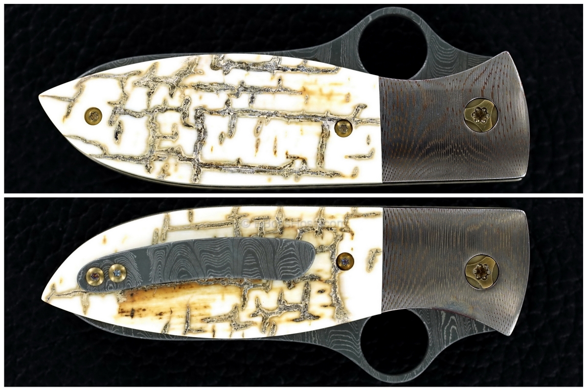 Peter Carey Custom Deluxe Firefly Prototype