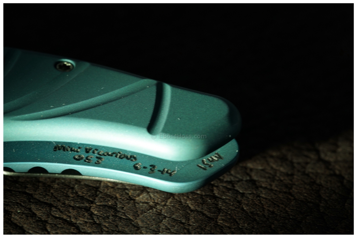 Gerry McGinnis 10-Year-Logo Mini Vicarious Flipper