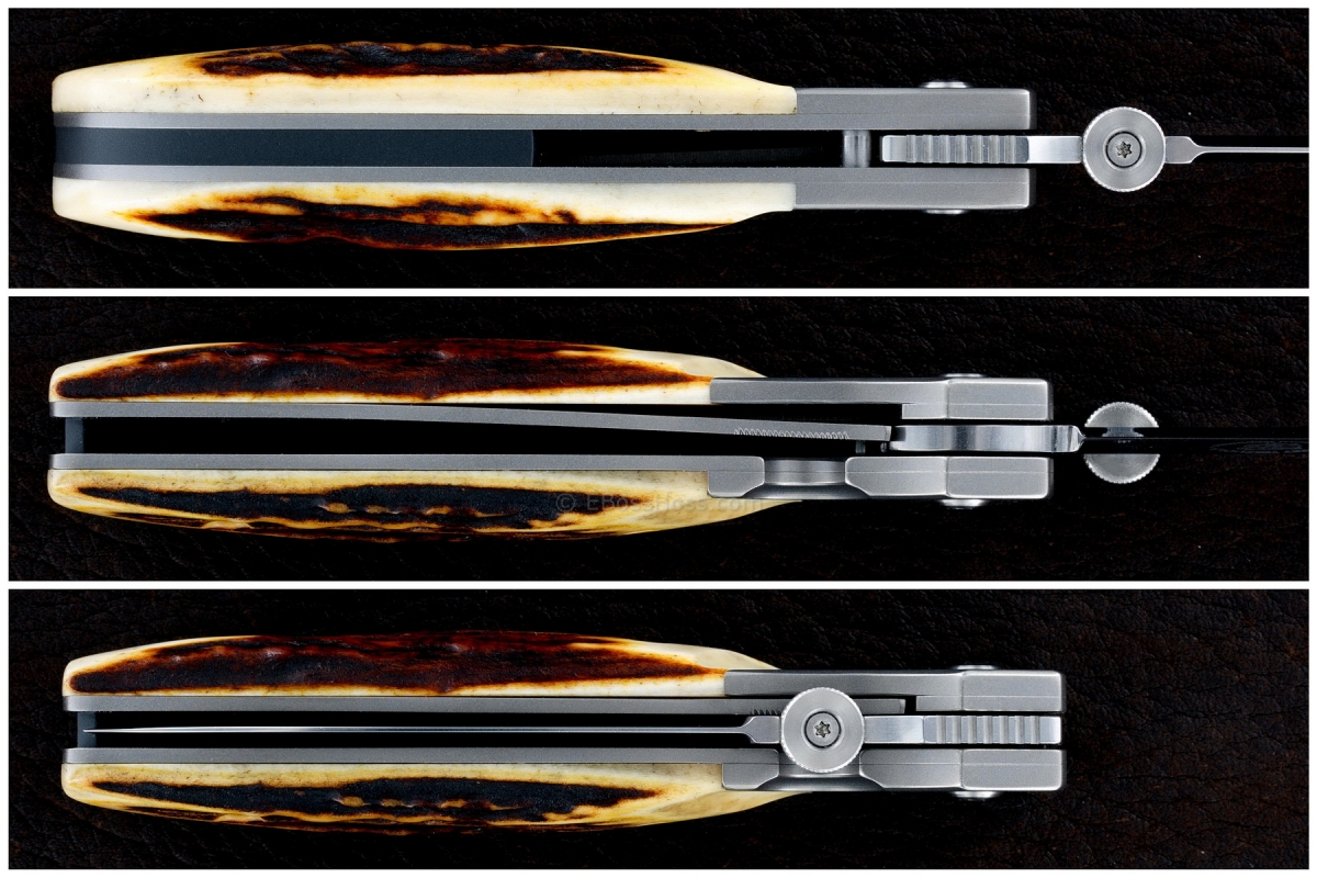 Bob Terzoula Custom Stag TTF-3A