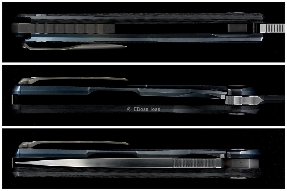 Sergey Shirogorov Custom Division Hati Seashell Flipper