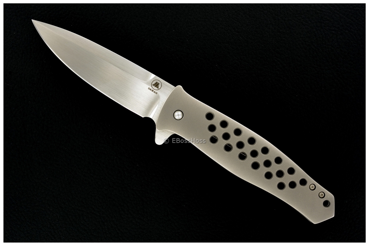 Tom Mayo Custom Dr. Death Jr. IKBS Flipper