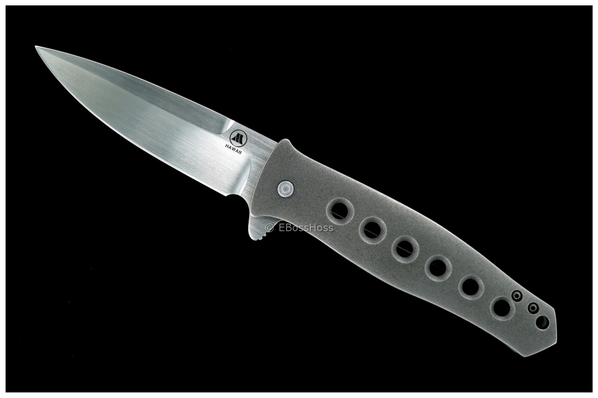 Tom Mayo Custom Dr Death Jr IKBS Flipper