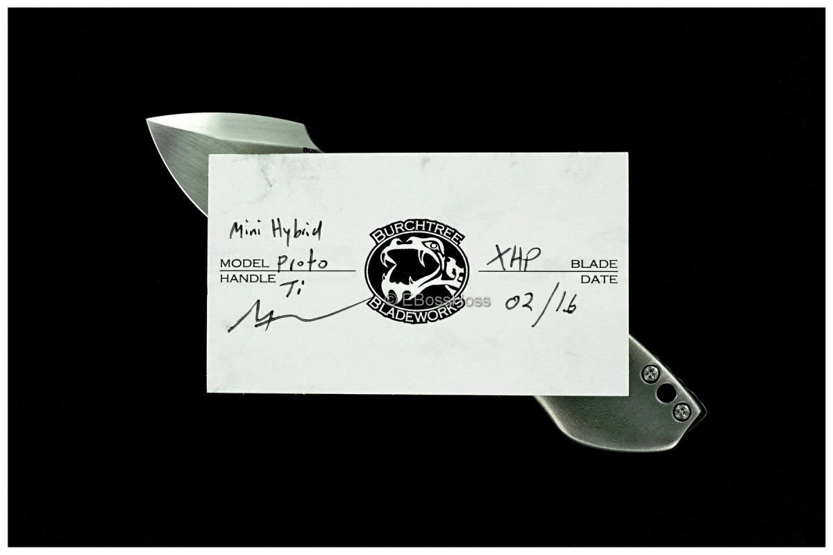 Michael Burch Custom Mini Hybrid Prototype Flipper