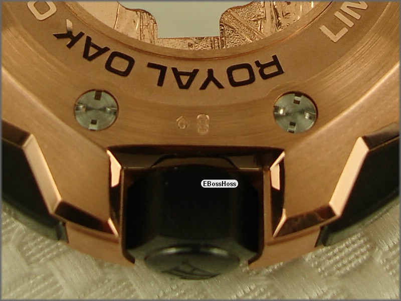 AP Royal Oak Offshore Team Alinghi (Red Gold)