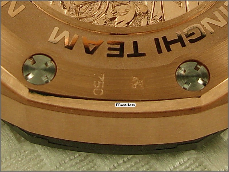 AP Royal Oak Offshore Team Alinghi (Red Gold)