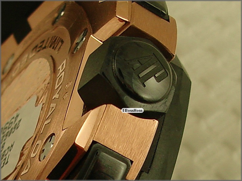 AP Royal Oak Offshore Team Alinghi (Red Gold)