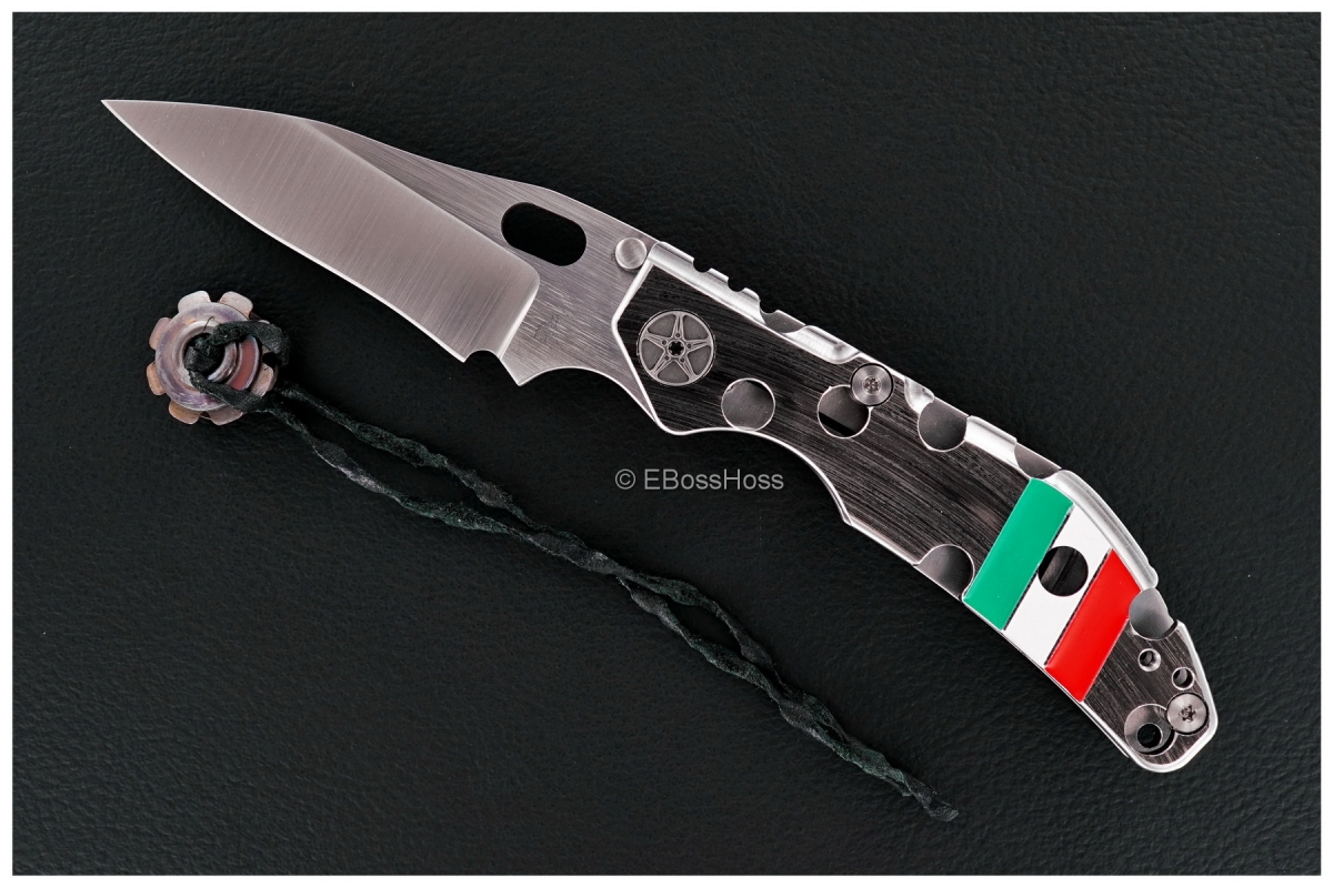 Duane Dwyer (Strider Knives) Custom BBN-M Recurve Pike Folder