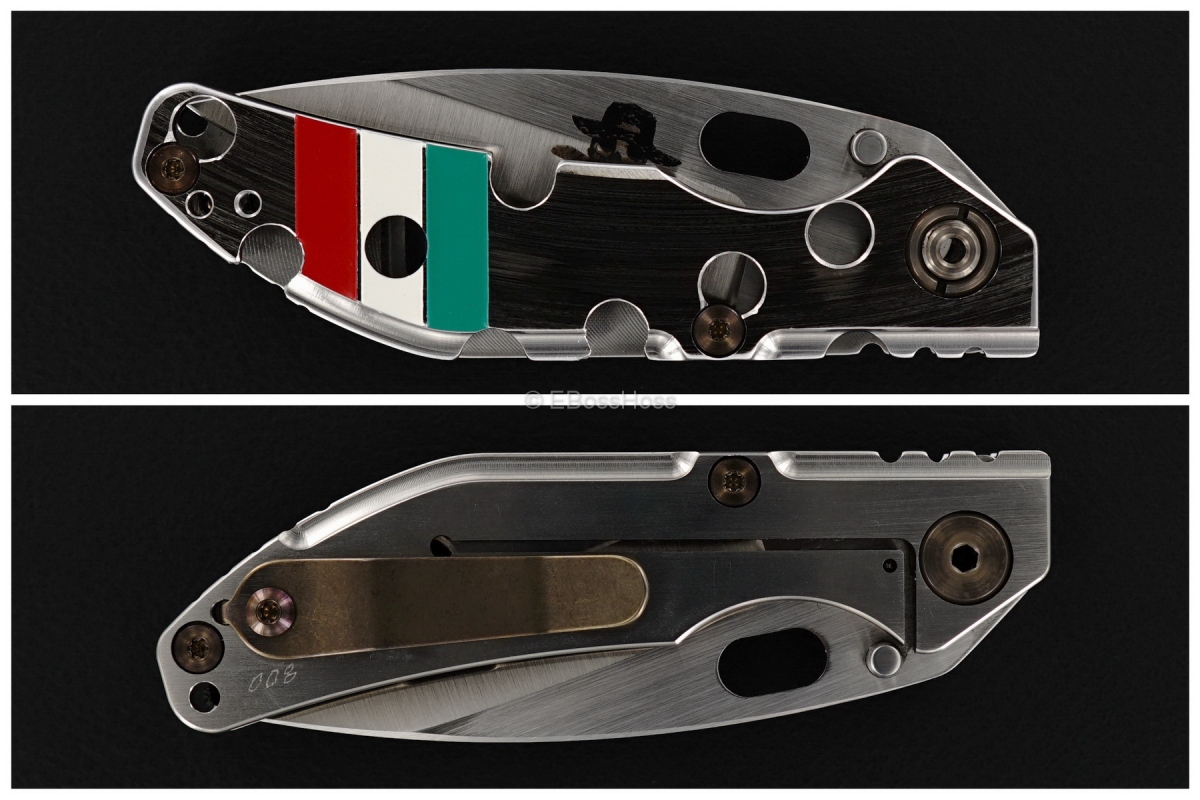 Duane Dwyer (Strider Knives) Custom BBN-M Recurve Pike Folder