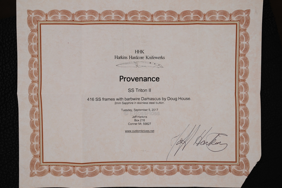 Jeff Harkins Custom SS Triton II OTF with Doug House Barbwire Damascus