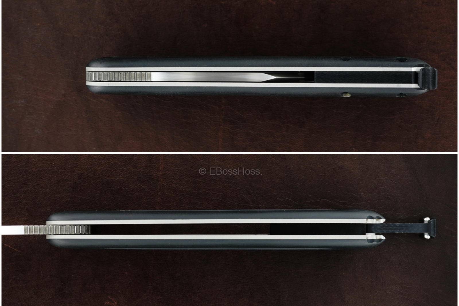 Todd Begg Custom Tailspin Bali