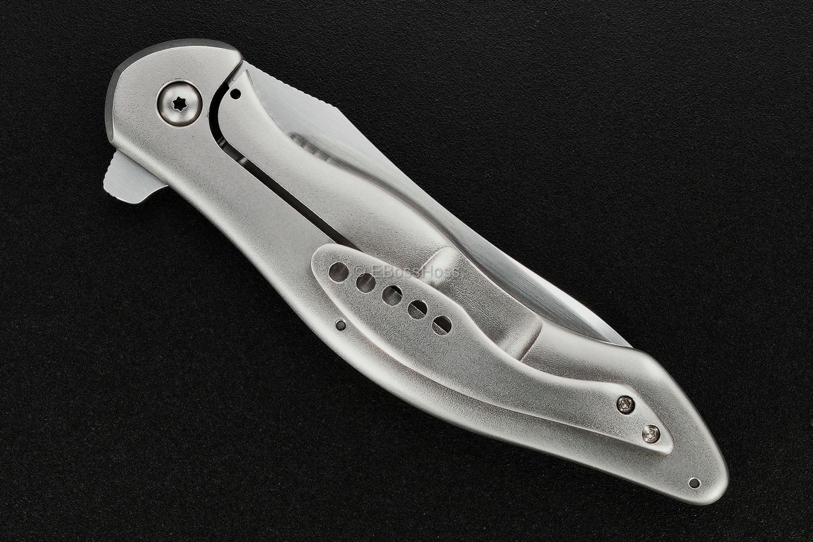 Gerry McGinnis Custom Deluxe Peligro R Flipper