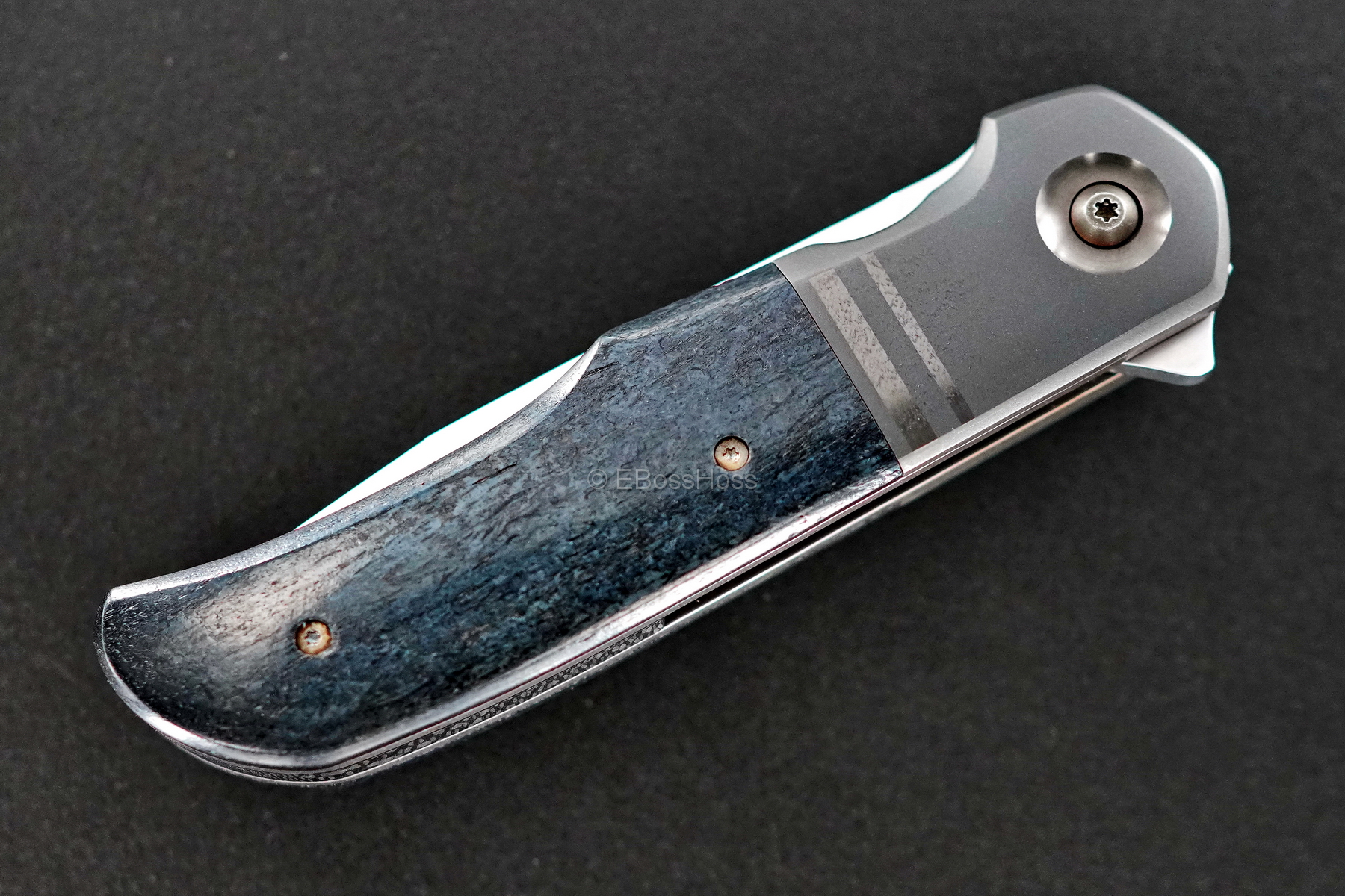 Bob Terzoula Custom Very Deluxe Eagle Rock Flipper Variant