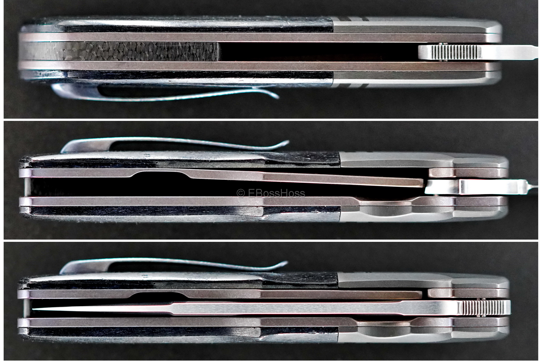 Bob Terzoula Custom Very Deluxe Eagle Rock Flipper Variant