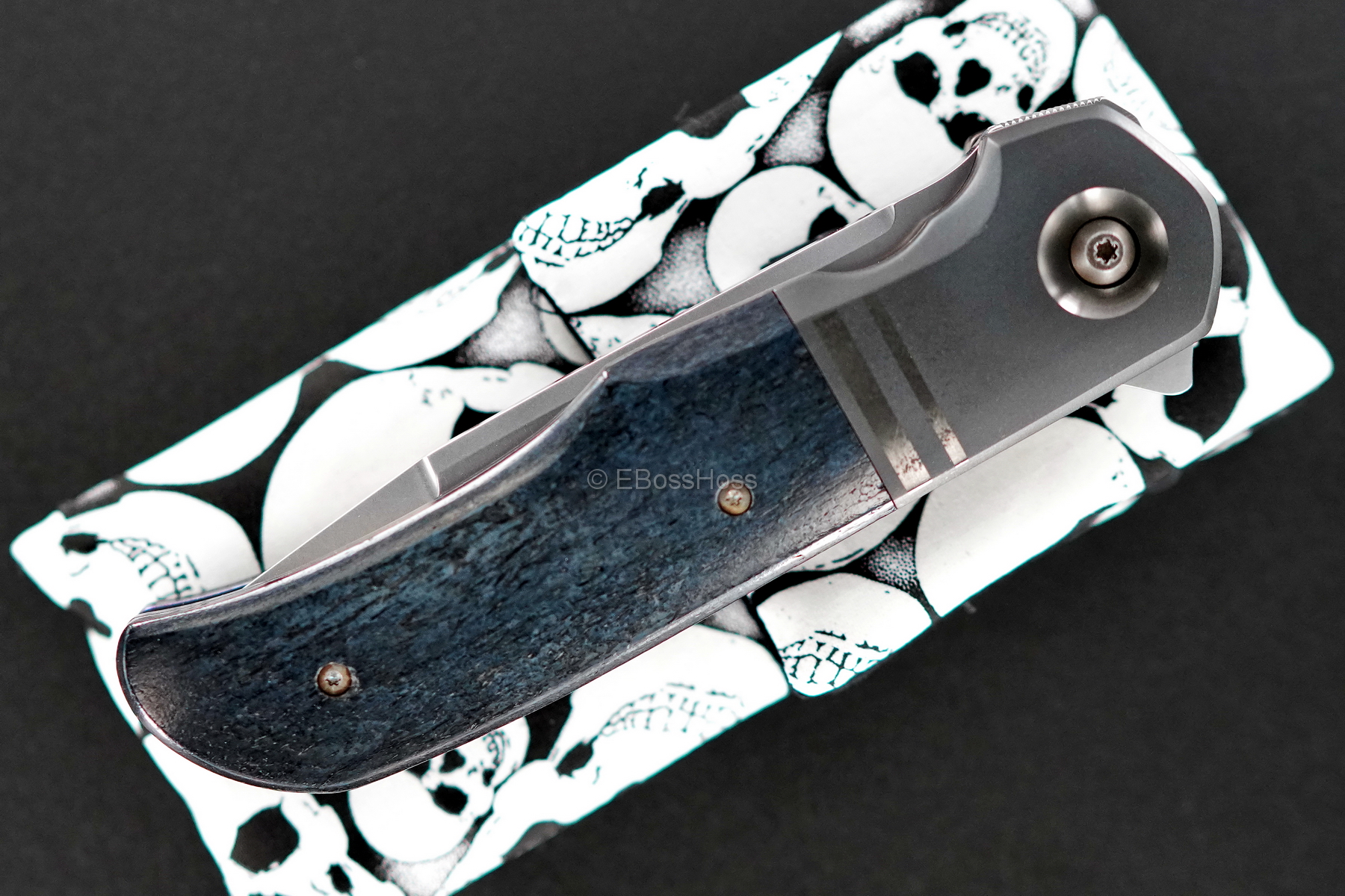 Bob Terzoula Custom Very Deluxe Eagle Rock Flipper Variant