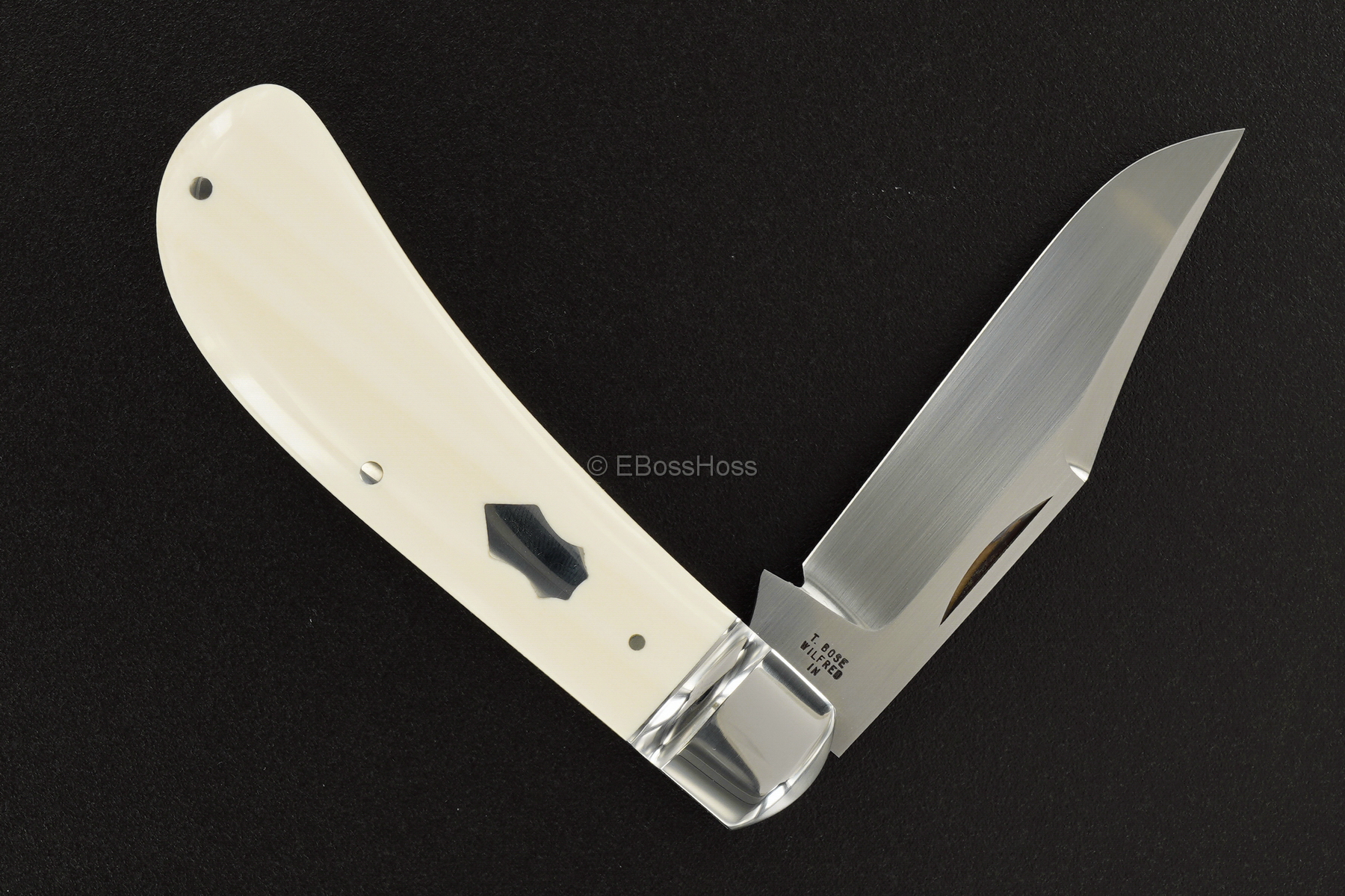 Tony Bose Lanny's Clip