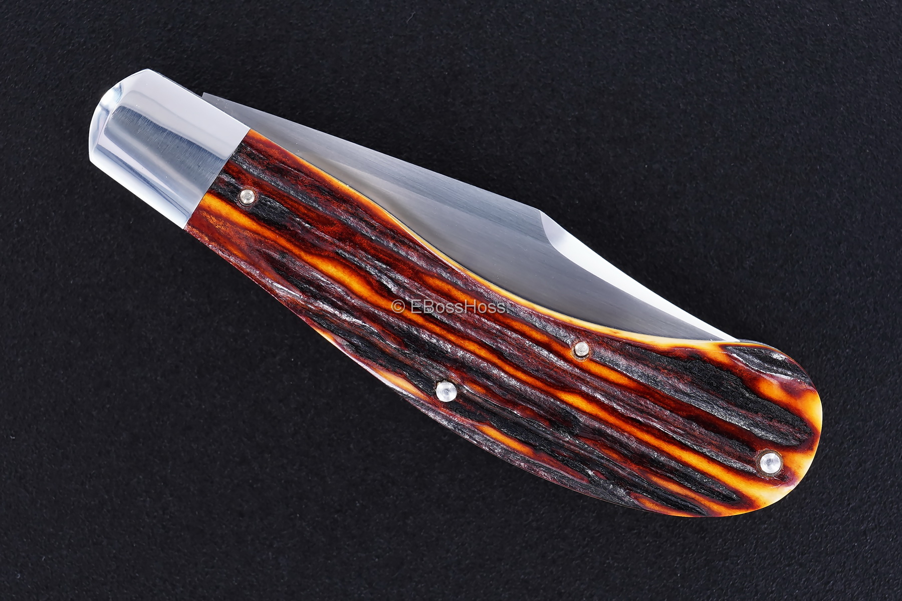 Tony Bose Modified Saddlehorn Trapper