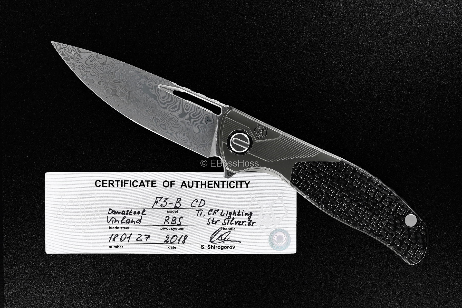 Sergey Shirogorov Custom Division Deluxe F3-B Flipper