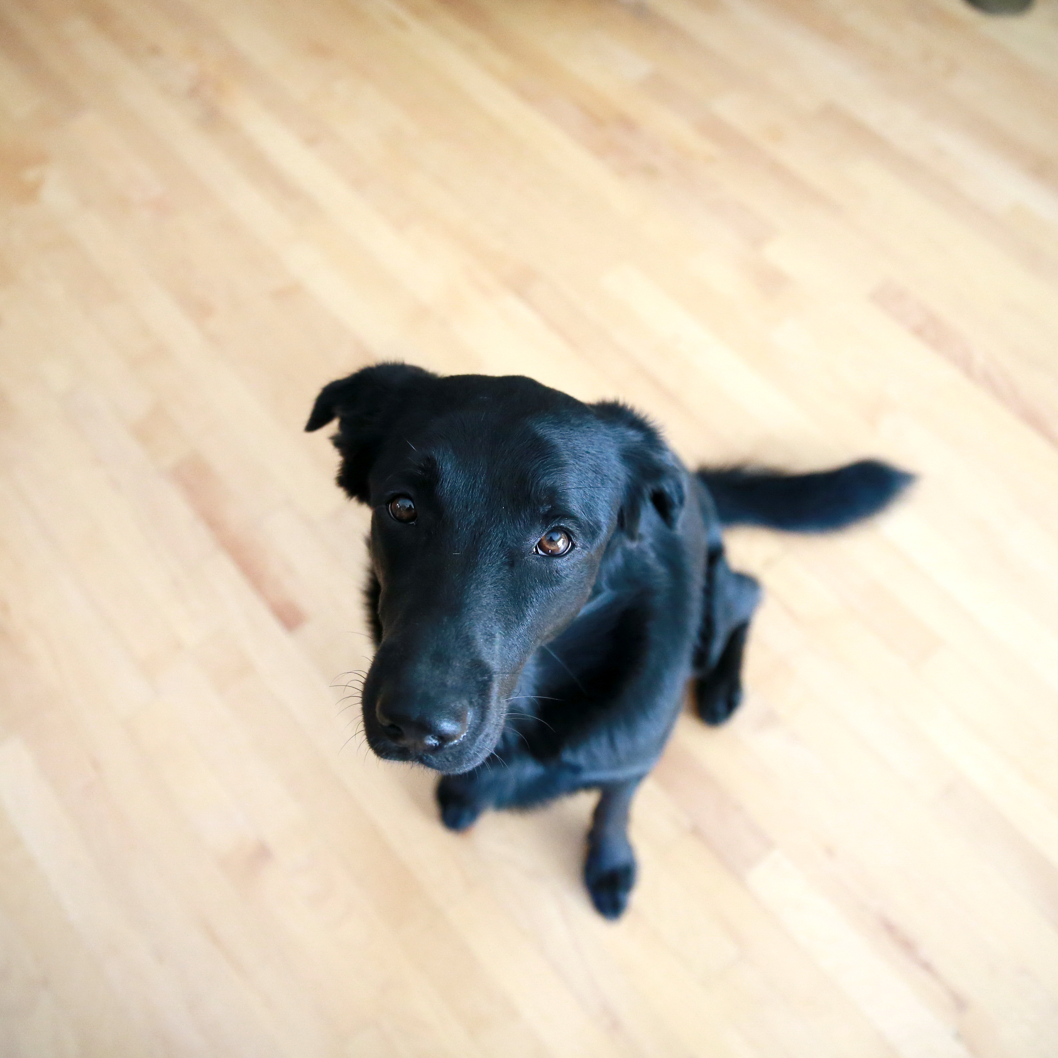 Johnny Cash (video credit)