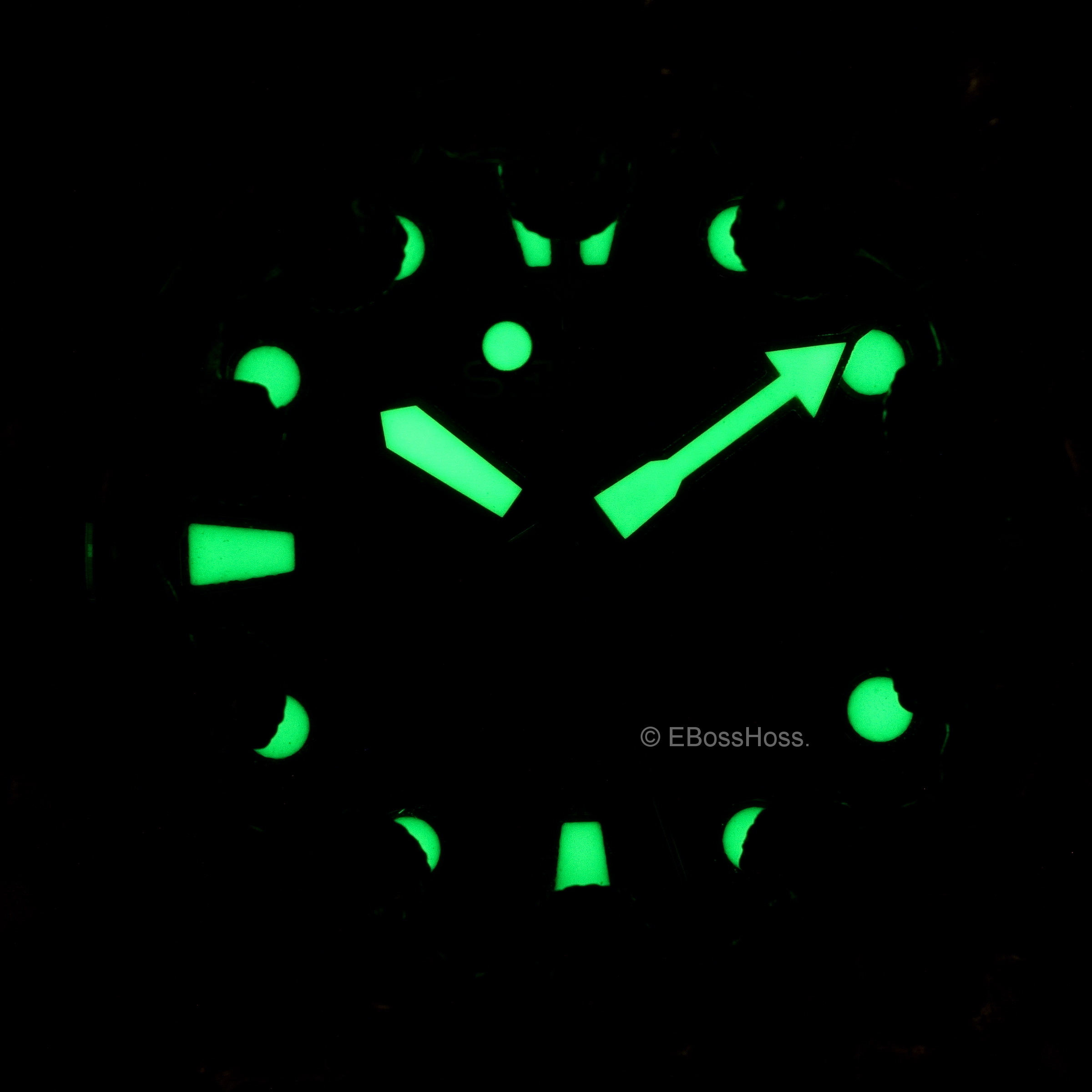 Steel Flame Custom Skulls Vigilant ONE Seiko Prospex Automatic Divers 200m 4R36-04Y0 - by Derrick Obatake