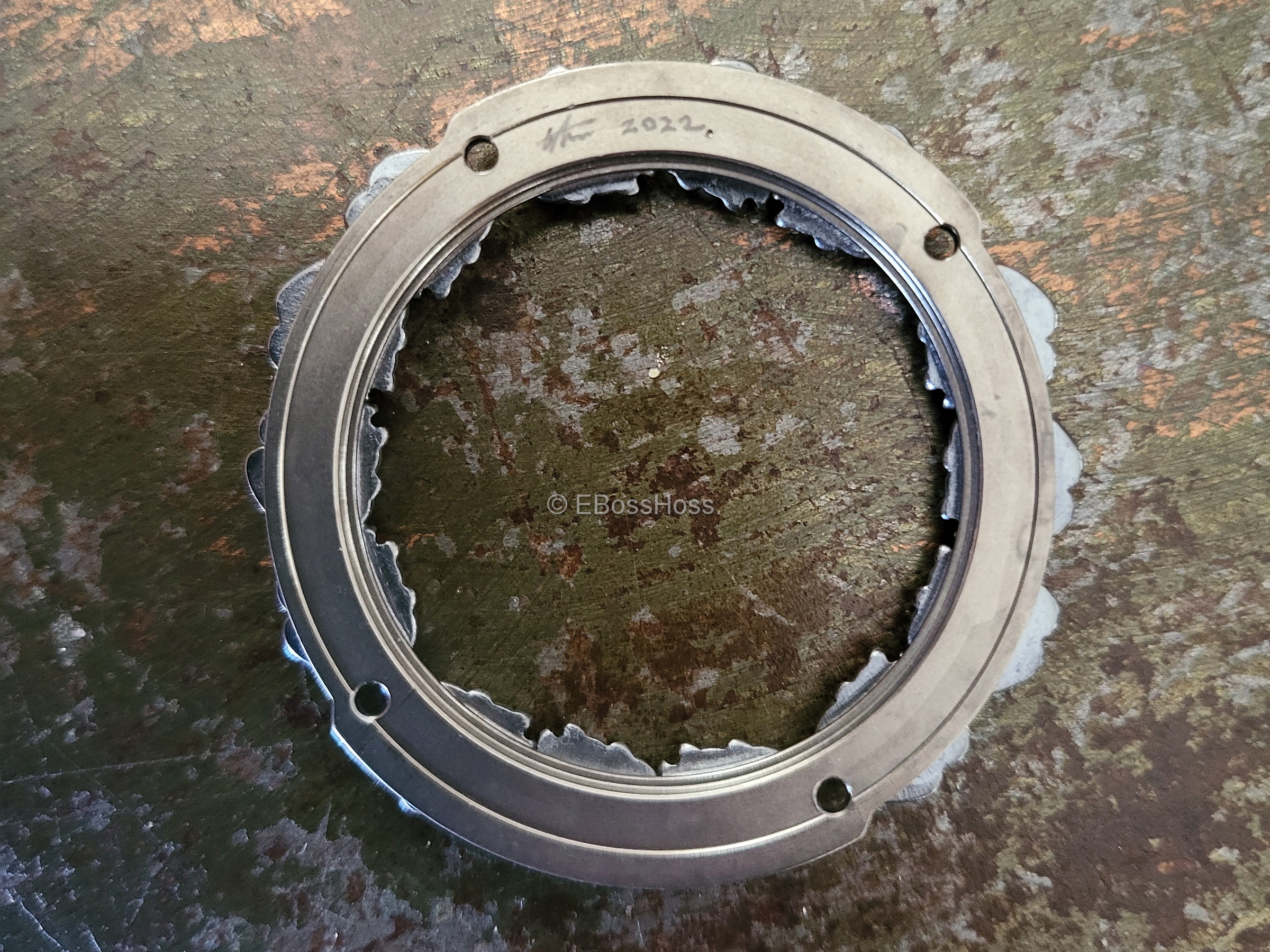 Steel Flame Custom Dog-Paw G-Shock - by Derrick Obatake