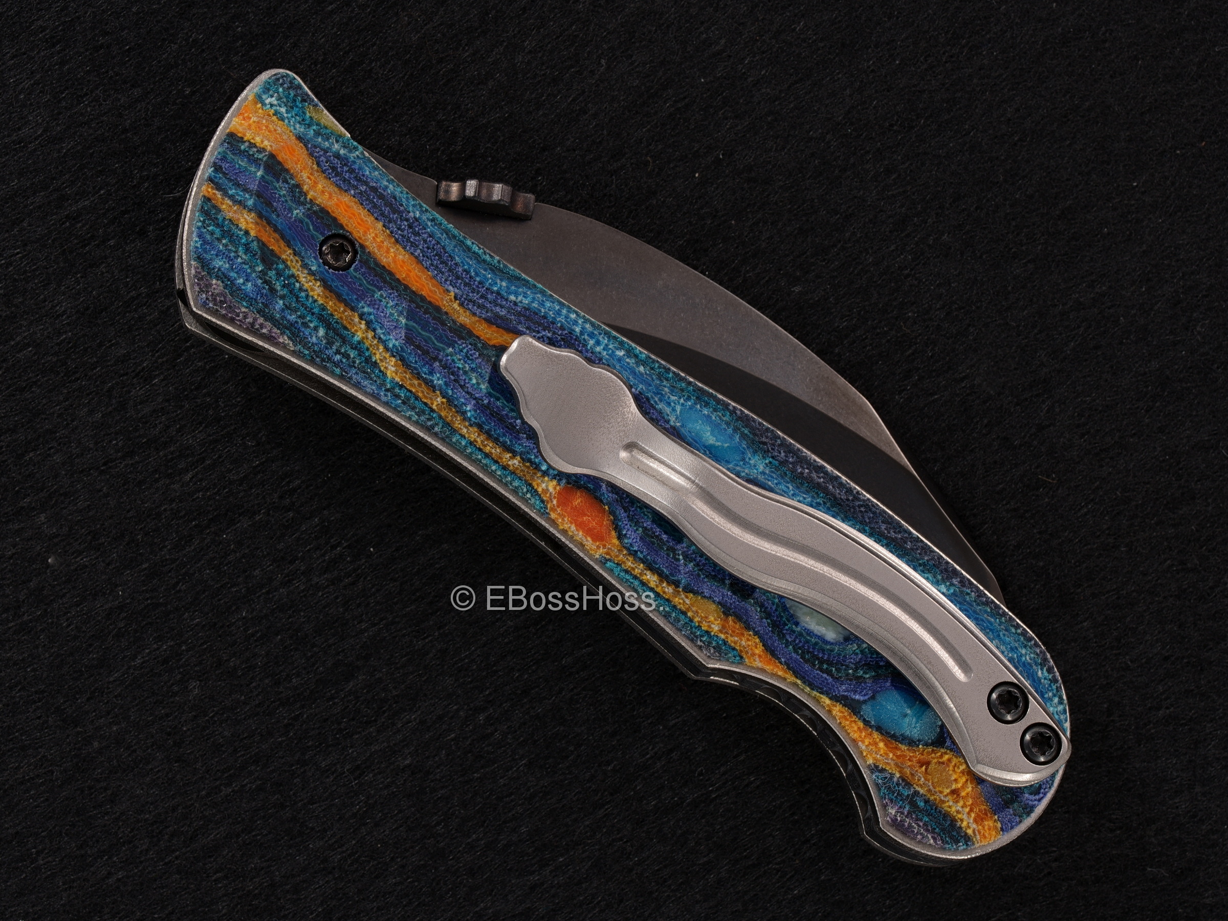 Rick Lala Custom Elvia F DLC