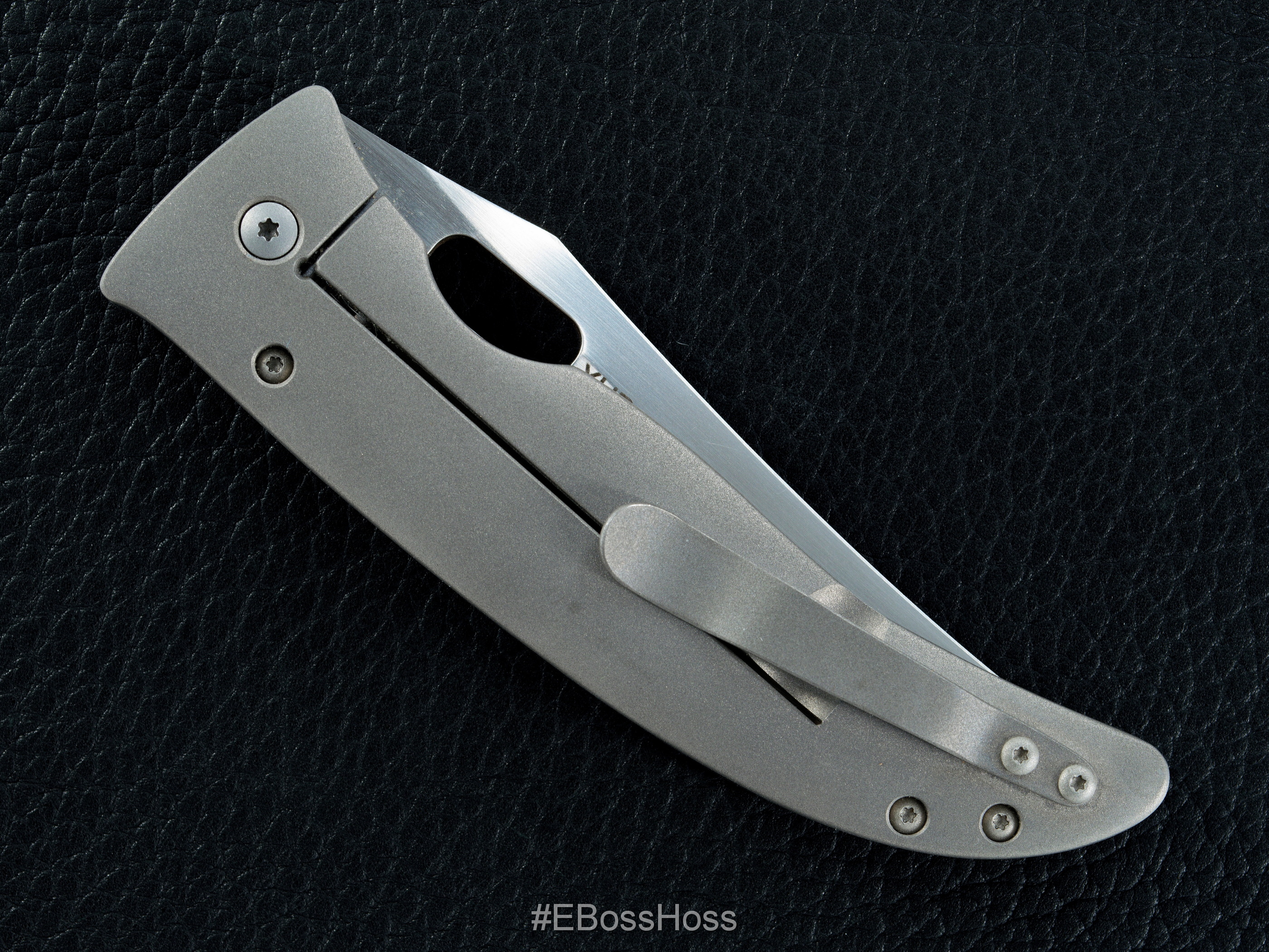 Tom Mayo Custom Persian